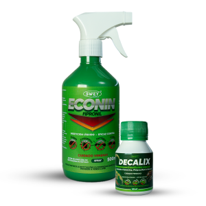 RecorteDecalix-e-Econin