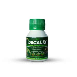 RecorteDecalix